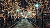 Christmas in the park