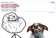 How to make your dog love you