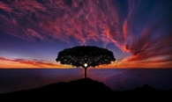 Stand Alone!!