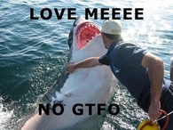No gtfo