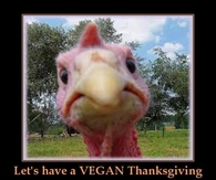 Lets have a vegan thanksgiving