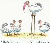 Nobody eats a flamingo on thanksgiving