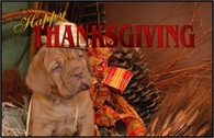 Happy Thanksgiving
