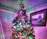 Lit up christmas tree