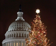 Christmas tree outside of the white house