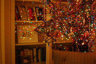 Christmas Lights