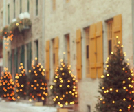 Christmas tree lights