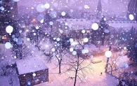 A white winter