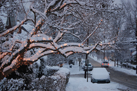Winter snow lights