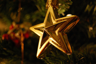 Golden star
