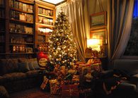 Christmas Tree in the Living Room