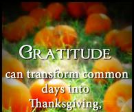 Gratitude