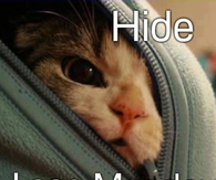 Hide I See Monday