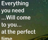 everything you need