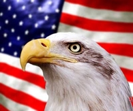 Honoring all who served