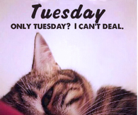 Only Tuesday