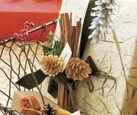 Pinecone name cards