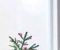 Candy cane and pine tree