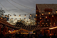 Christmas hanging lights