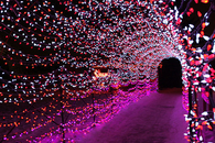 Christmas lights