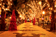 Christmas light decorations