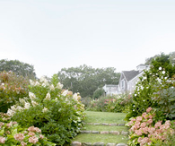 Pretty path