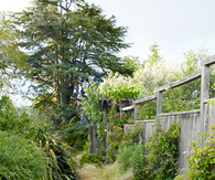 Backyard walkway