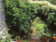 Elegant entrance
