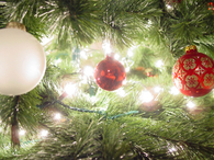 Christmas tree closeup
