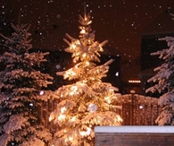 Snowing lighted christmas tree
