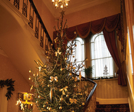 Banister Christmas tree 