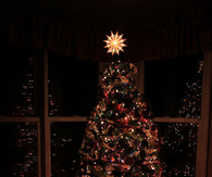 Christmas tree in the dark