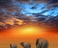 Lost In The Horizon!!