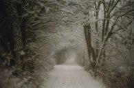Snow in the winter