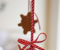Peppermint gingerbread cookie