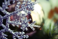 Snow flake closeup