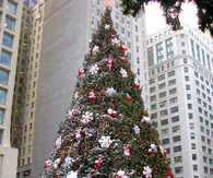 Large christmas tree
