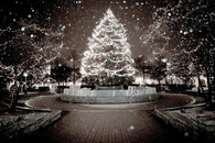 Christmas in the winter