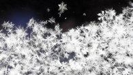 Winter snow flakes