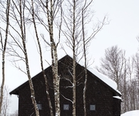 Snow in cabin