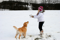 Playing in the snow