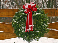 Winter wreath