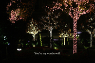 You are my wonderfall