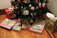 Gifts under the christmas tree