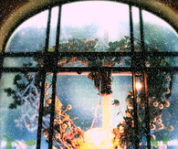Christmas wreath