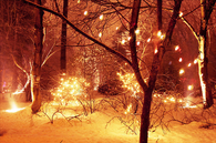 Winter snow