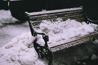 Snow winter