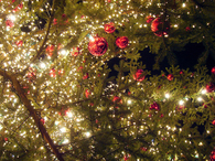 Christmas ornaments and lights