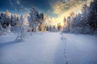 Winter sunrise