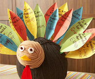 What a turkey
